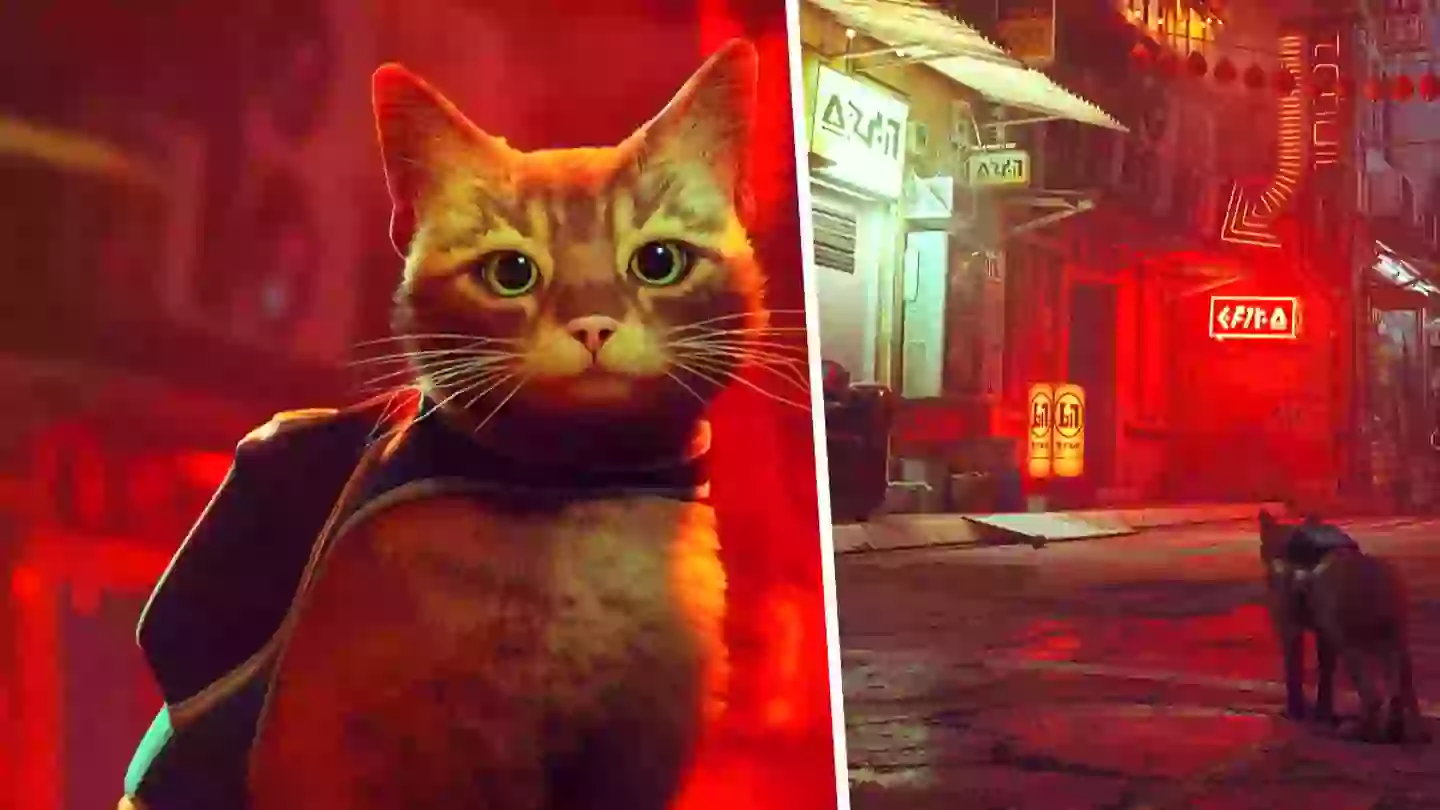 ‘Stray’ Secret Language Has Already Been Deciphered