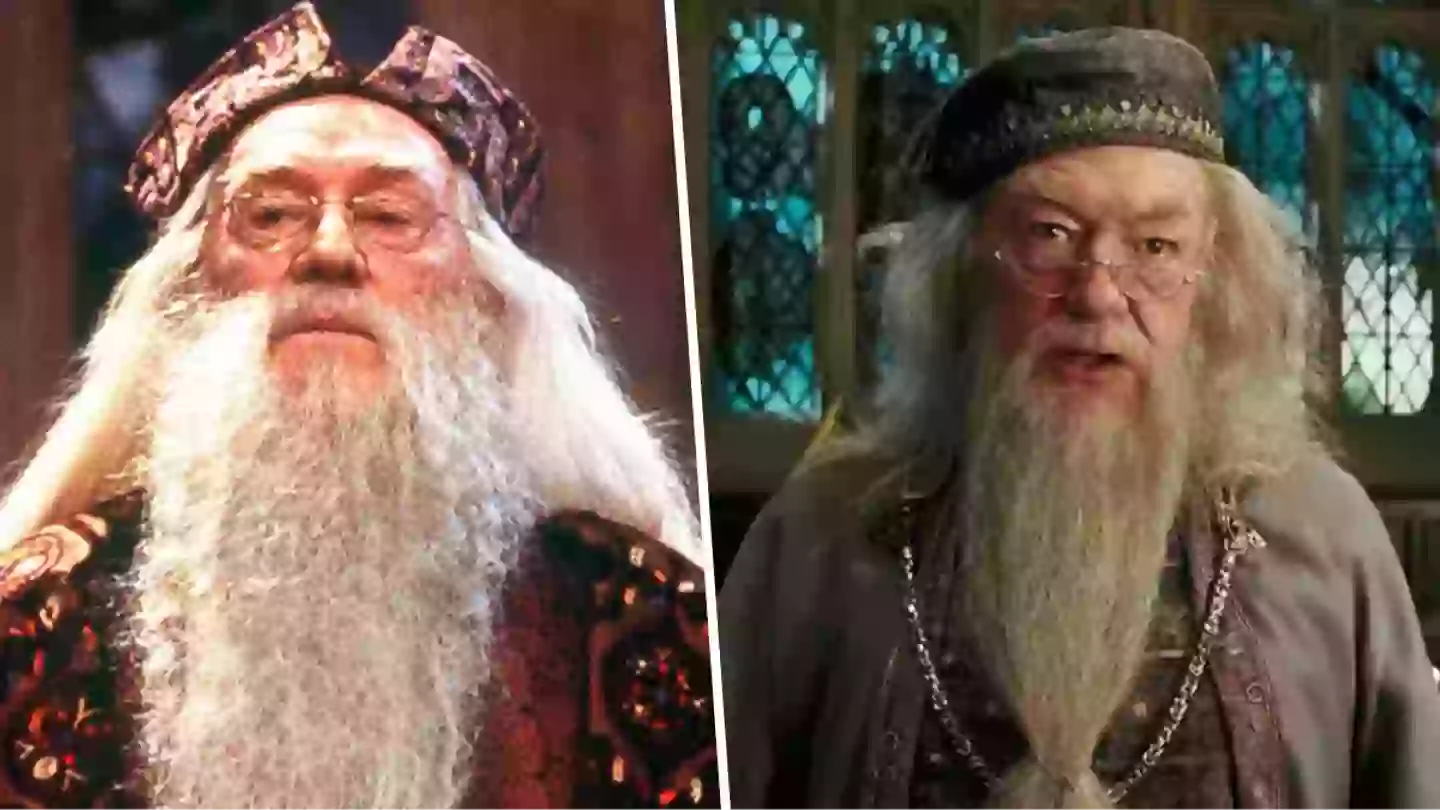 Harry Potter fans divided over TV series' Dumbledore recasting