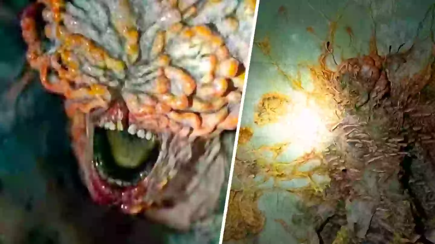 Expert warns IRl fungus is just three steps away from a Last of Us scenario