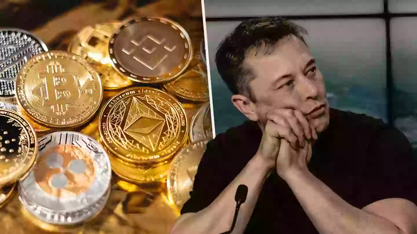 Elon Musk Is Being Sued For $258 Billion Over Alleged Dogecoin Pyramid Scheme