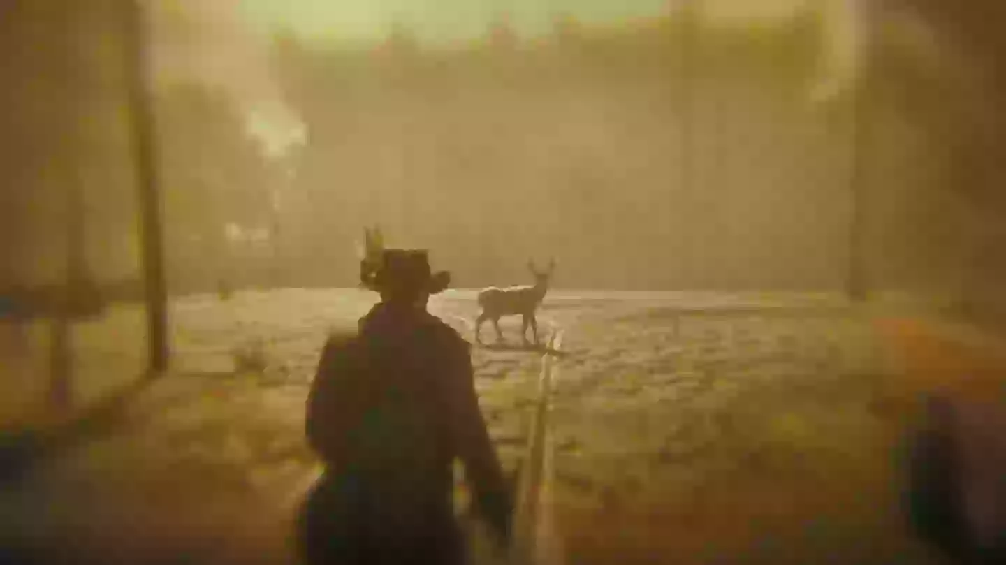 Red Dead Redemption 2 players amazed by hidden underground area discovery