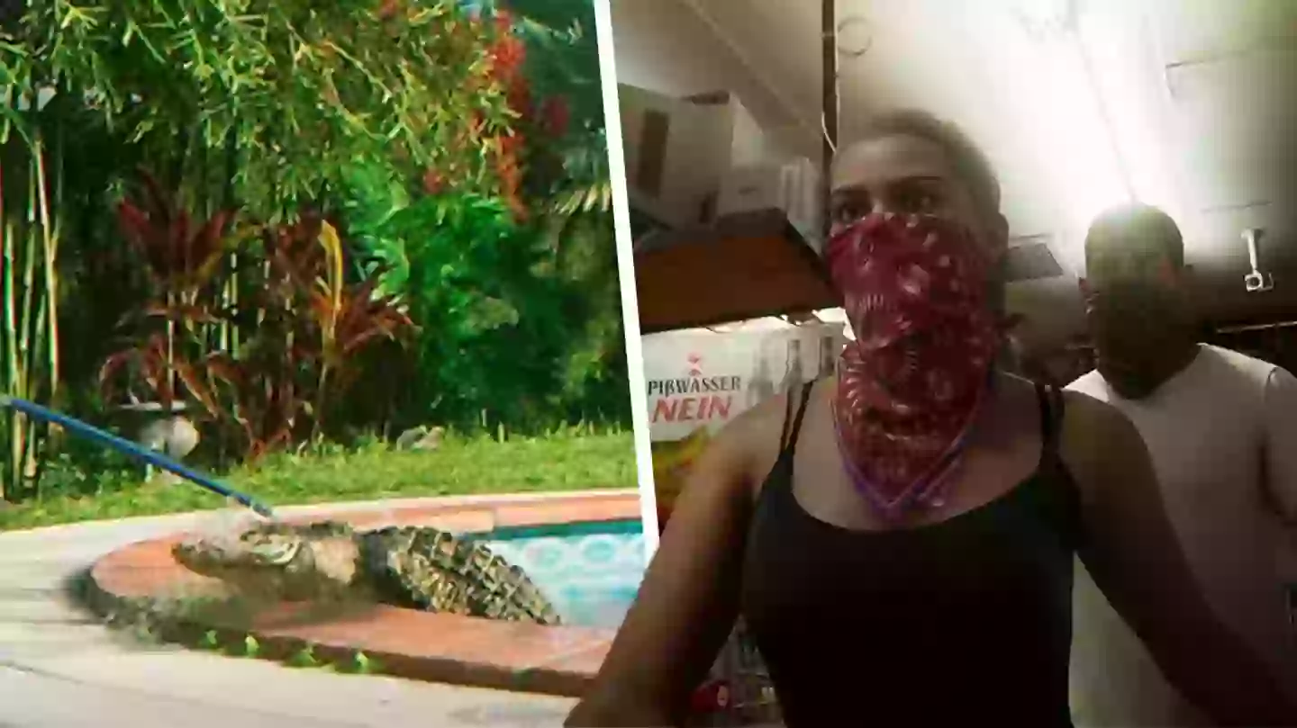 GTA 6 players want the option to keep a pet alligator