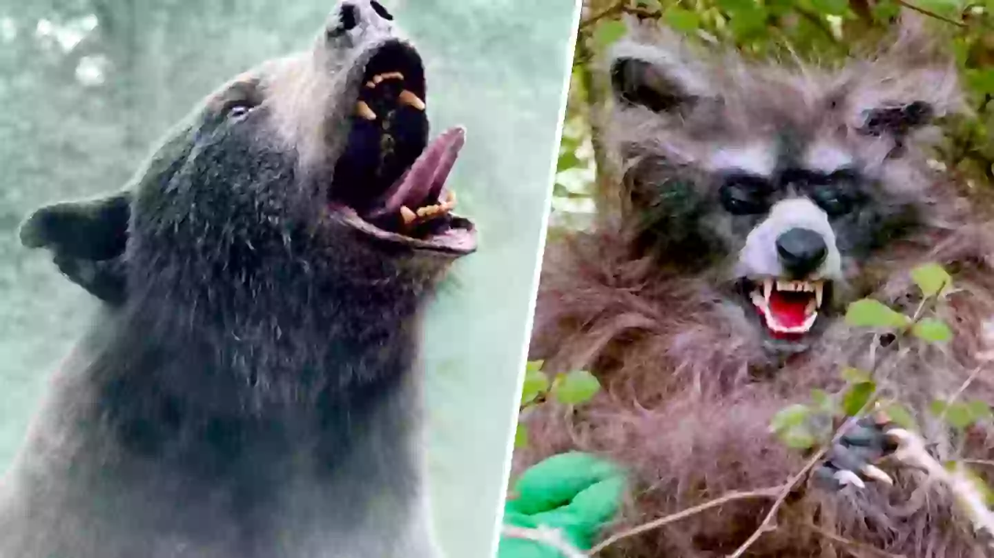 Forget Cocaine Bear, Crackoon is the new greatest movie title of all time