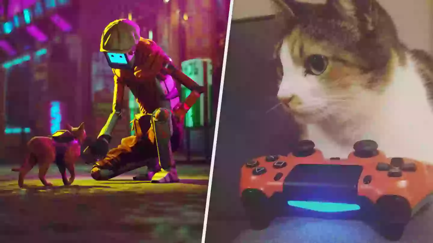 Stray, As Reviewed By My Cat