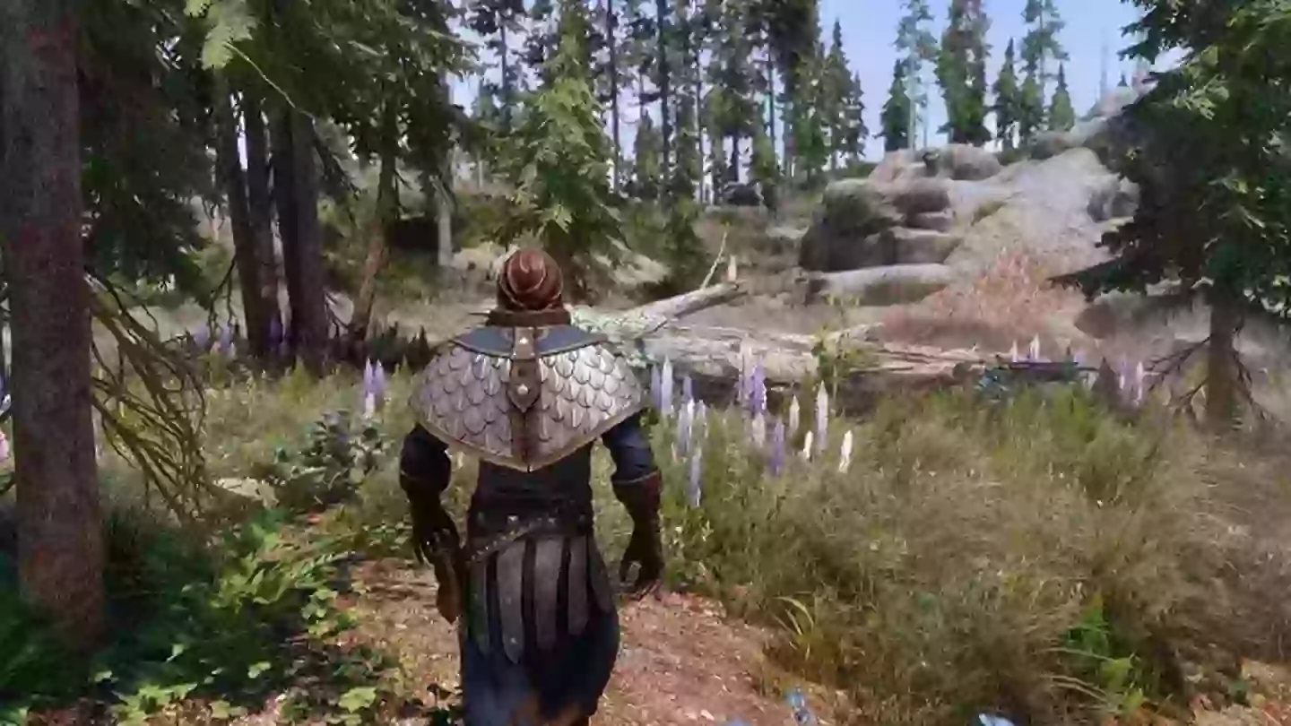 The Elder Scrolls 6 gameplay leak leaves fans divided