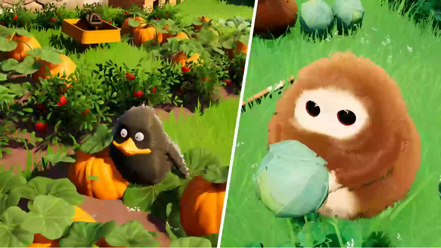 Hogwarts Legacy meets Studio Ghibli in this upcoming cosy sim