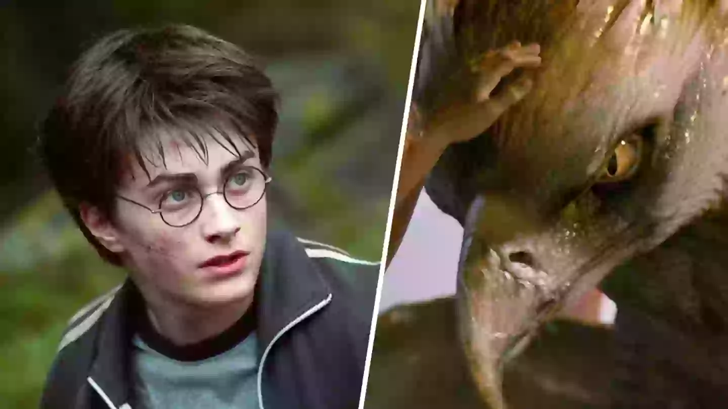 Harry Potter fans unbothered over official cancellation