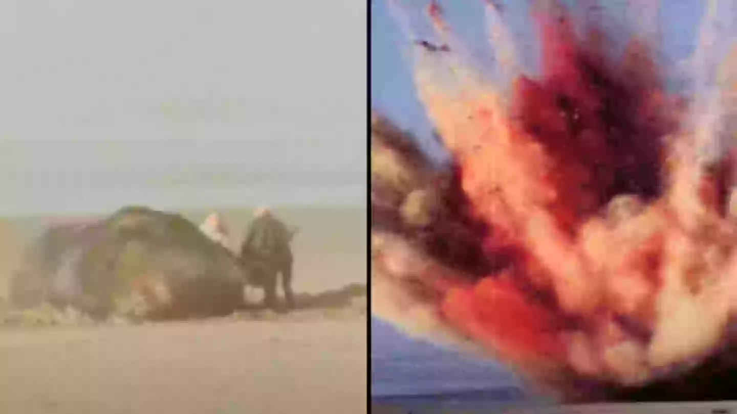 Exploding whale incident is still one of the craziest spectacles ever ...