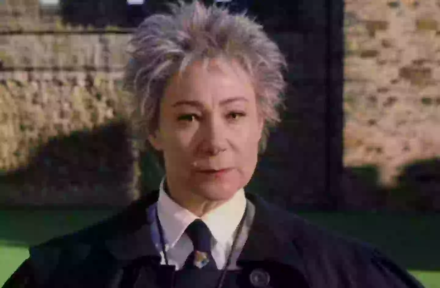 Harry Potter actress Zoe Wanamaker was also banned from driving by the same court on the same day as Watson (Warner Bros)