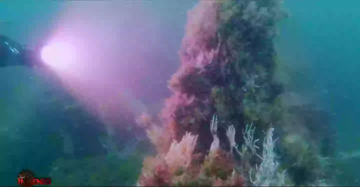 If Atlantis was real then it went into the sea thousands of years ago (Ingenio Films)