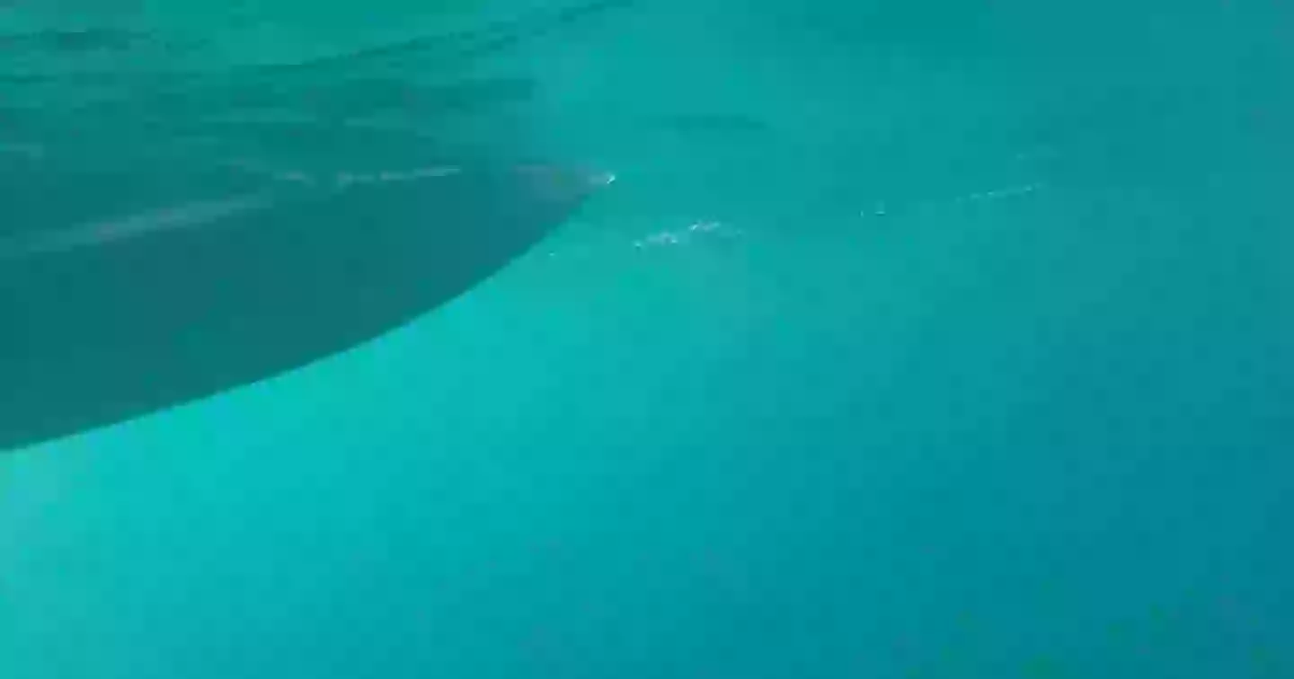 Alexis' camera captured some footage which has spooked social media users (YouTube/@alexis3030303030)