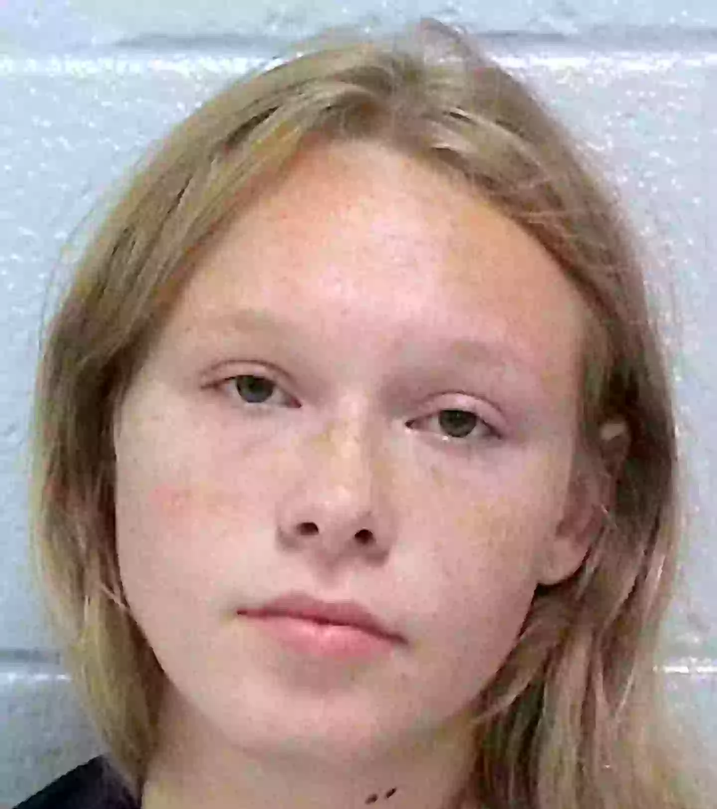 The 17-year-old has been charged with two counts of murder (Facebook/Carroll County Sheriff's Office)