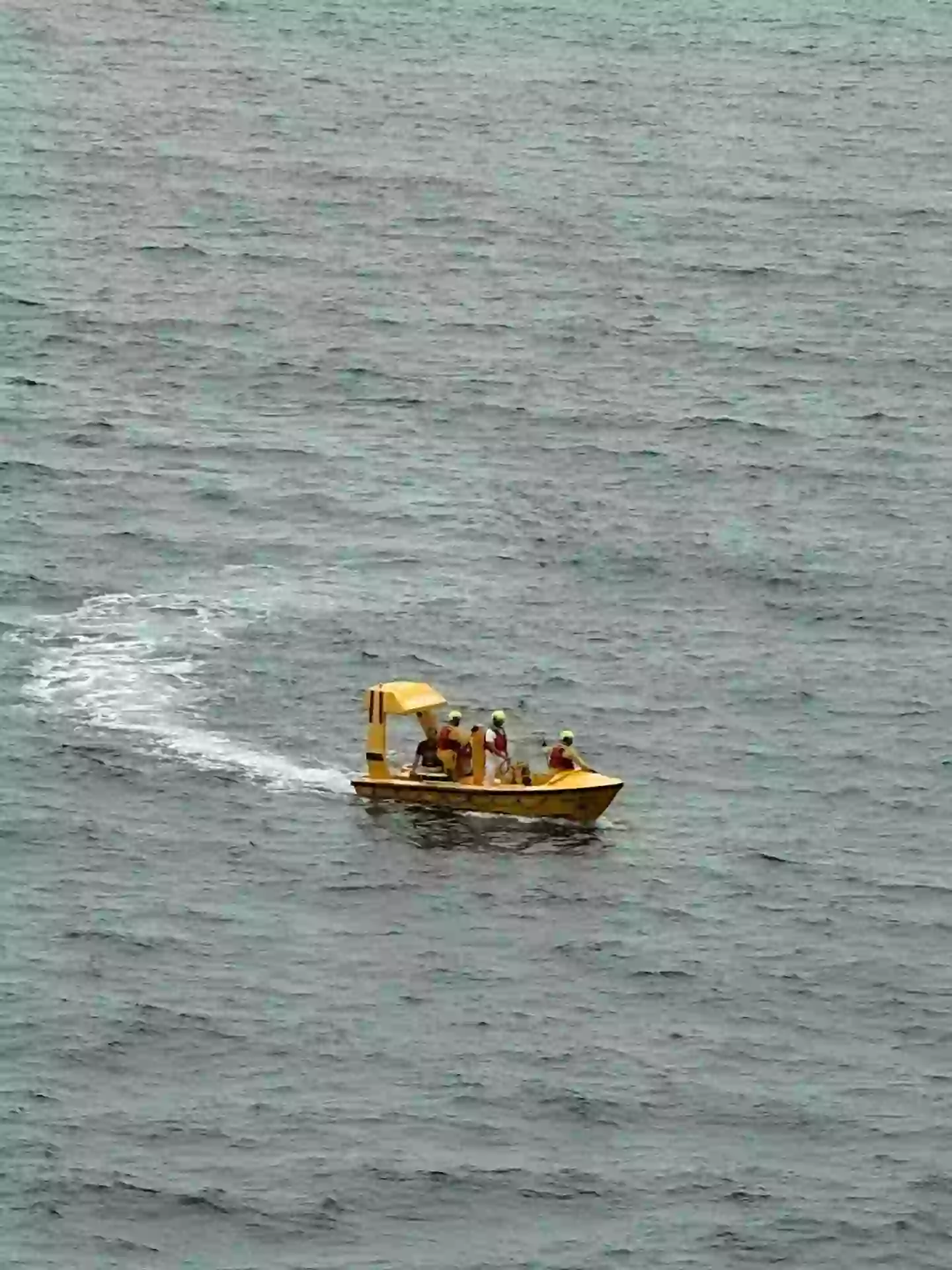 A rescue team set off quickly to fish both passengers out of the sea and get them back on board the ship (Facebook/DeWayne Smith)