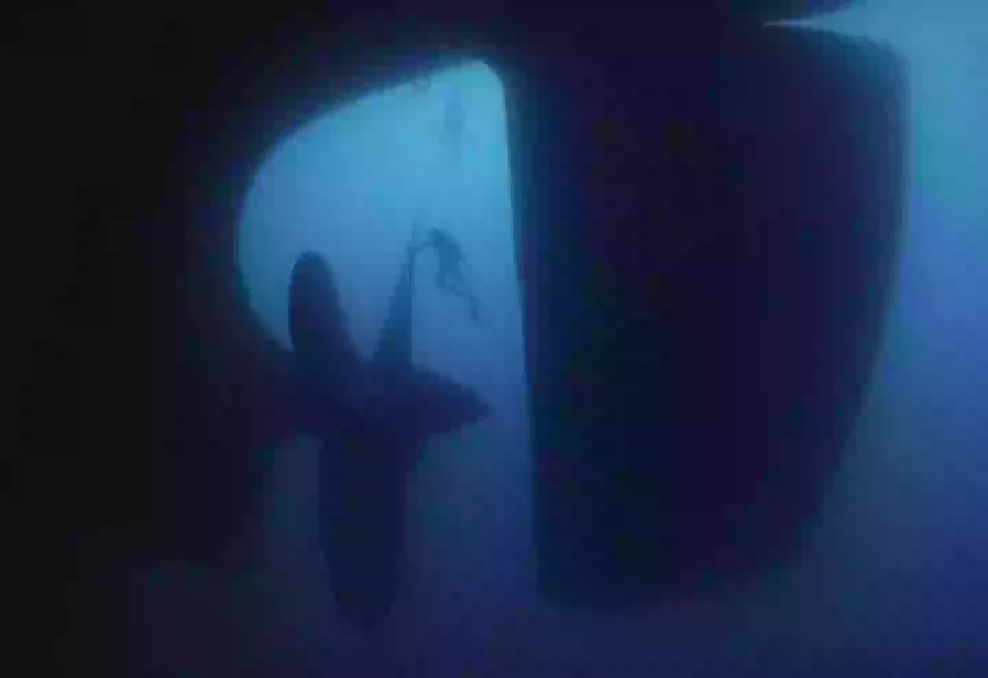Test To See If You Have Submechanophobia Has People s souls Leaving test-to-see-if-you-have-submechanophobia-has-people-s-souls-leaving