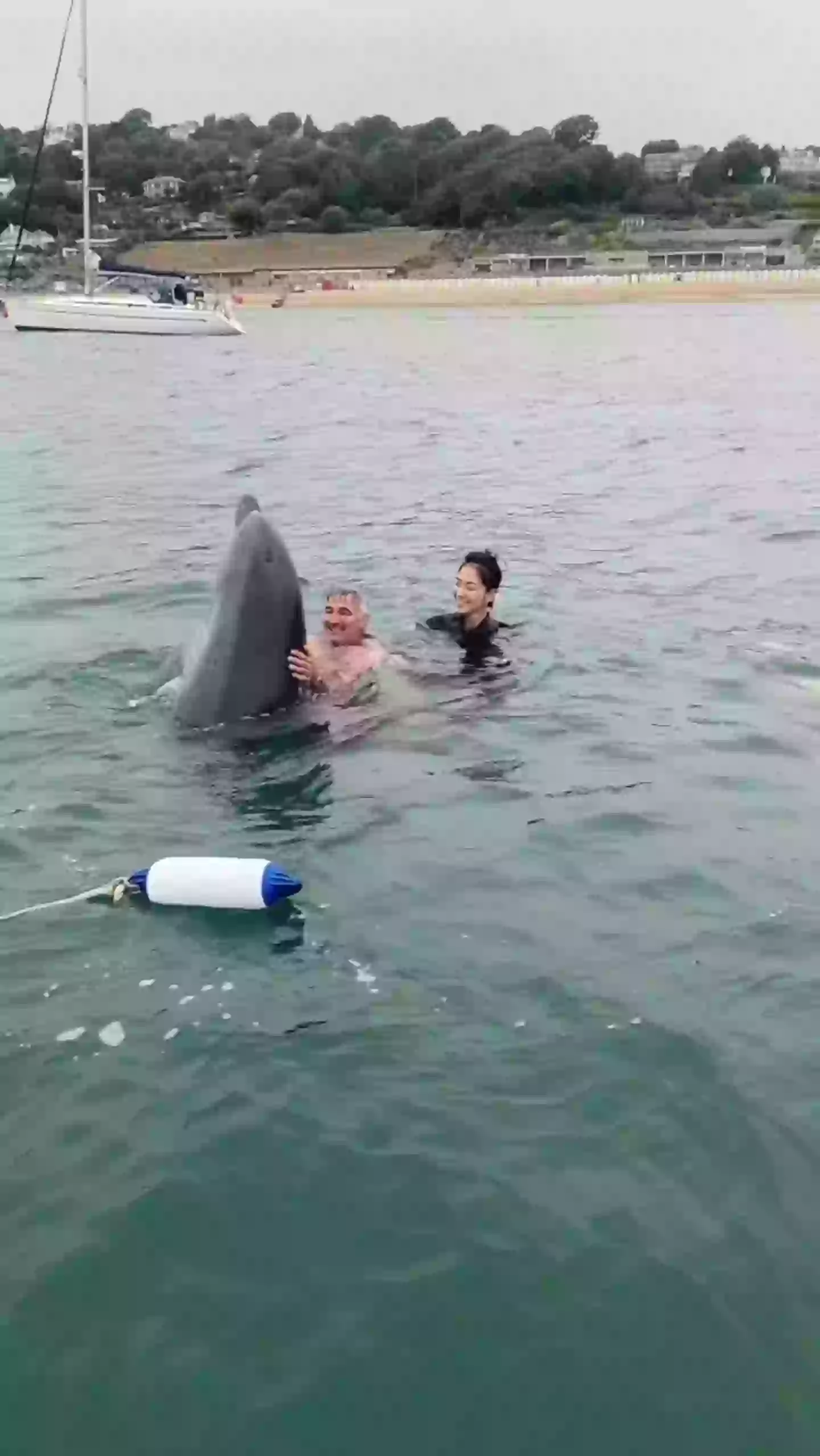 The footage shows a dolphin swimming with a family in Dorset (SWNS)