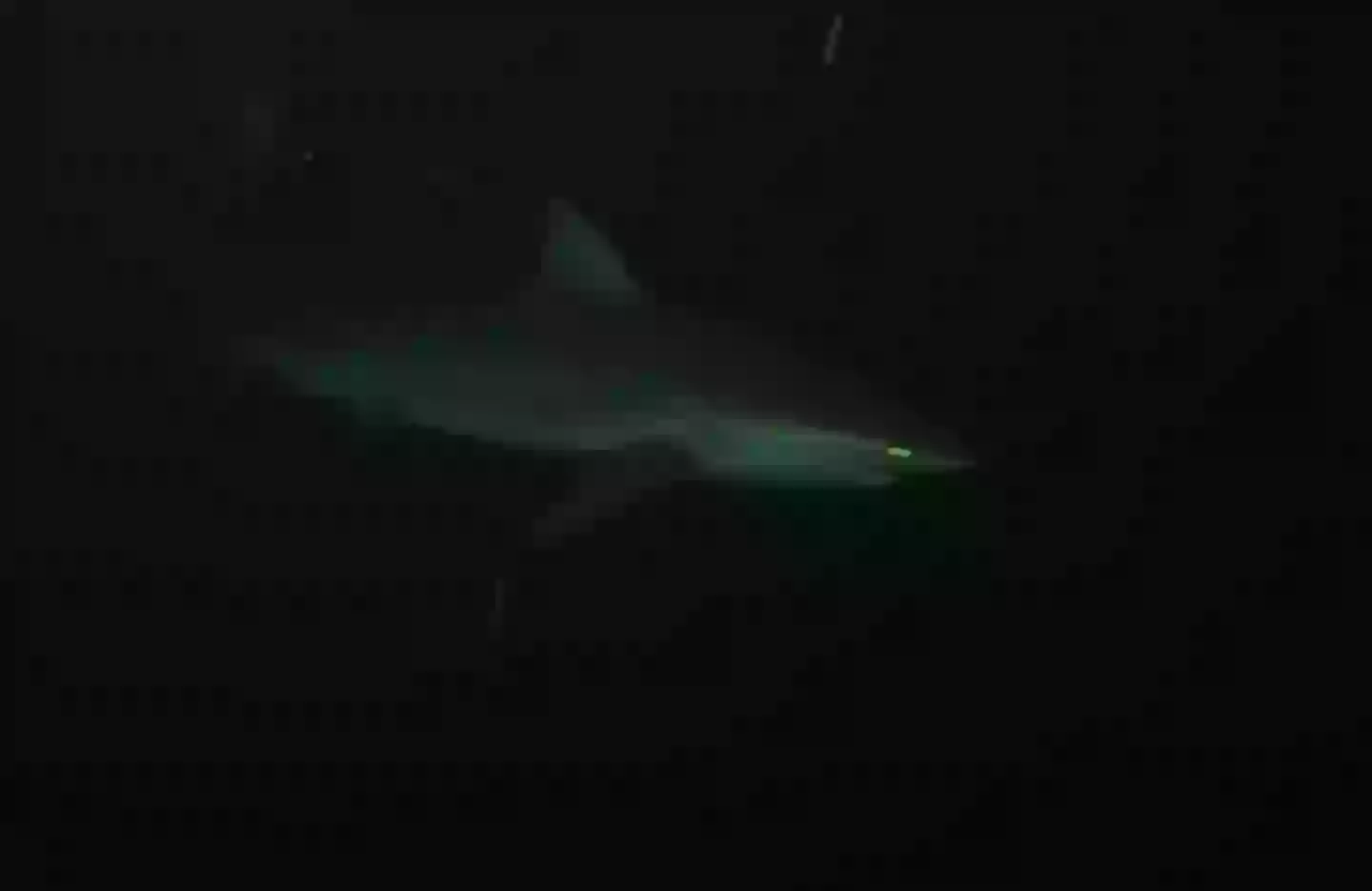 Are you scared of the sea, or what's in it? (YouTube/Odysseas Froilan)