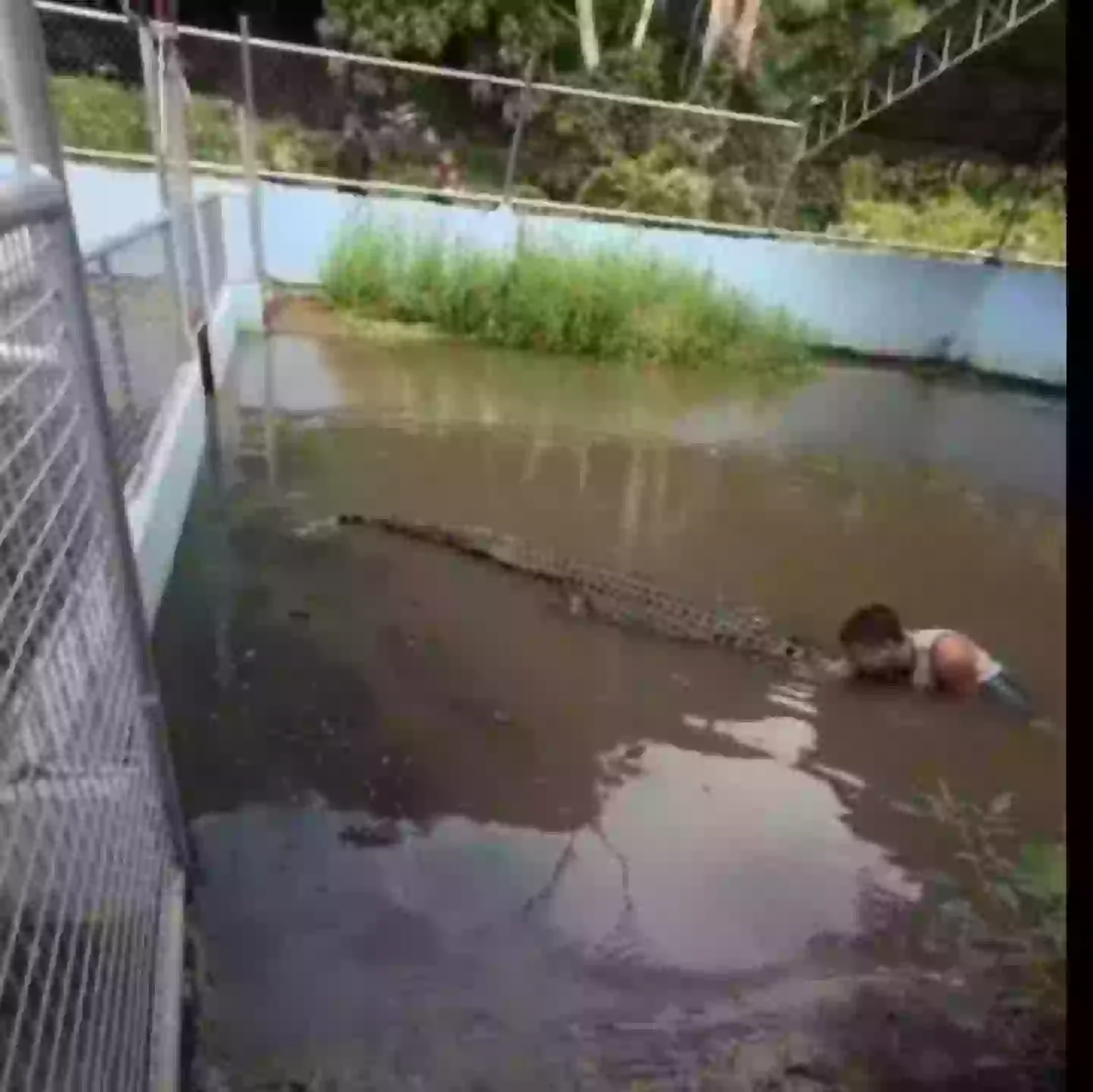 The crocodile bit him several times and tried to death roll the man, who was rushed to hospital afterwards (ViralPress)