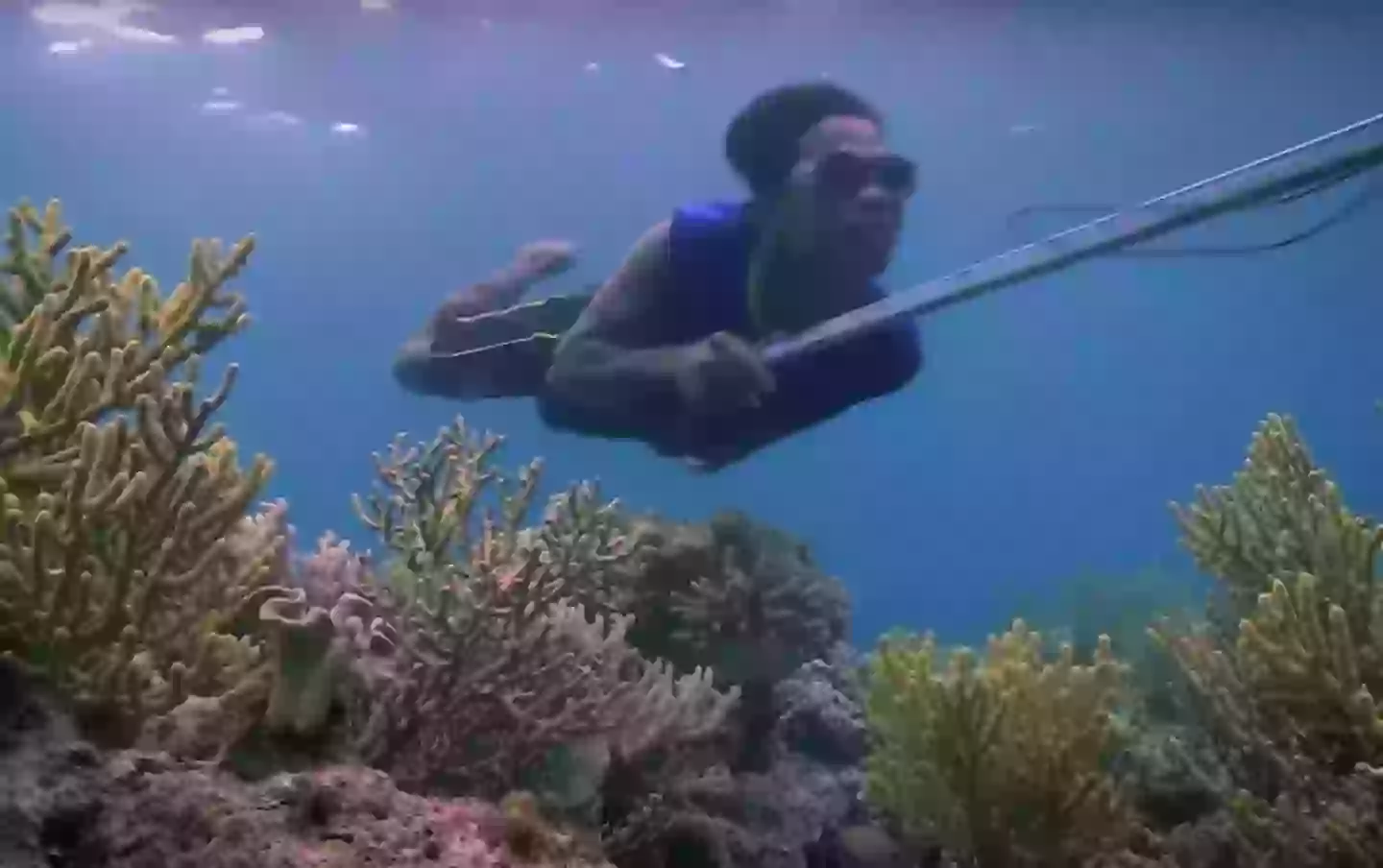 Diving down with wooden goggles and weights around their wastes, the Bajau have lived for countless generations off the produce of the sea. (BBC Global/YouTube)