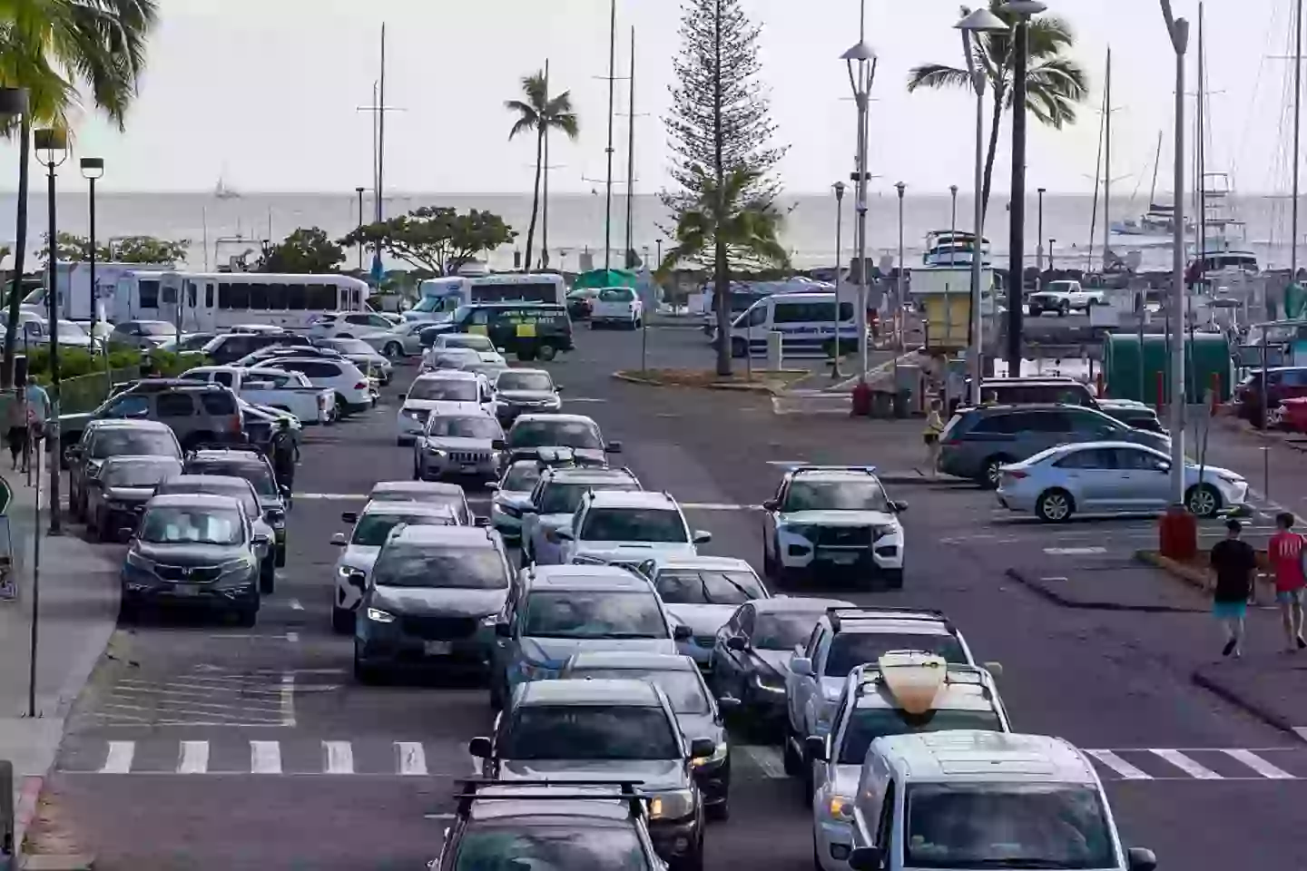 Residents and tourists flee to higher ground after a tsunami warning was issued earlier today (EUGENE TANNER/AFP via Getty Images)