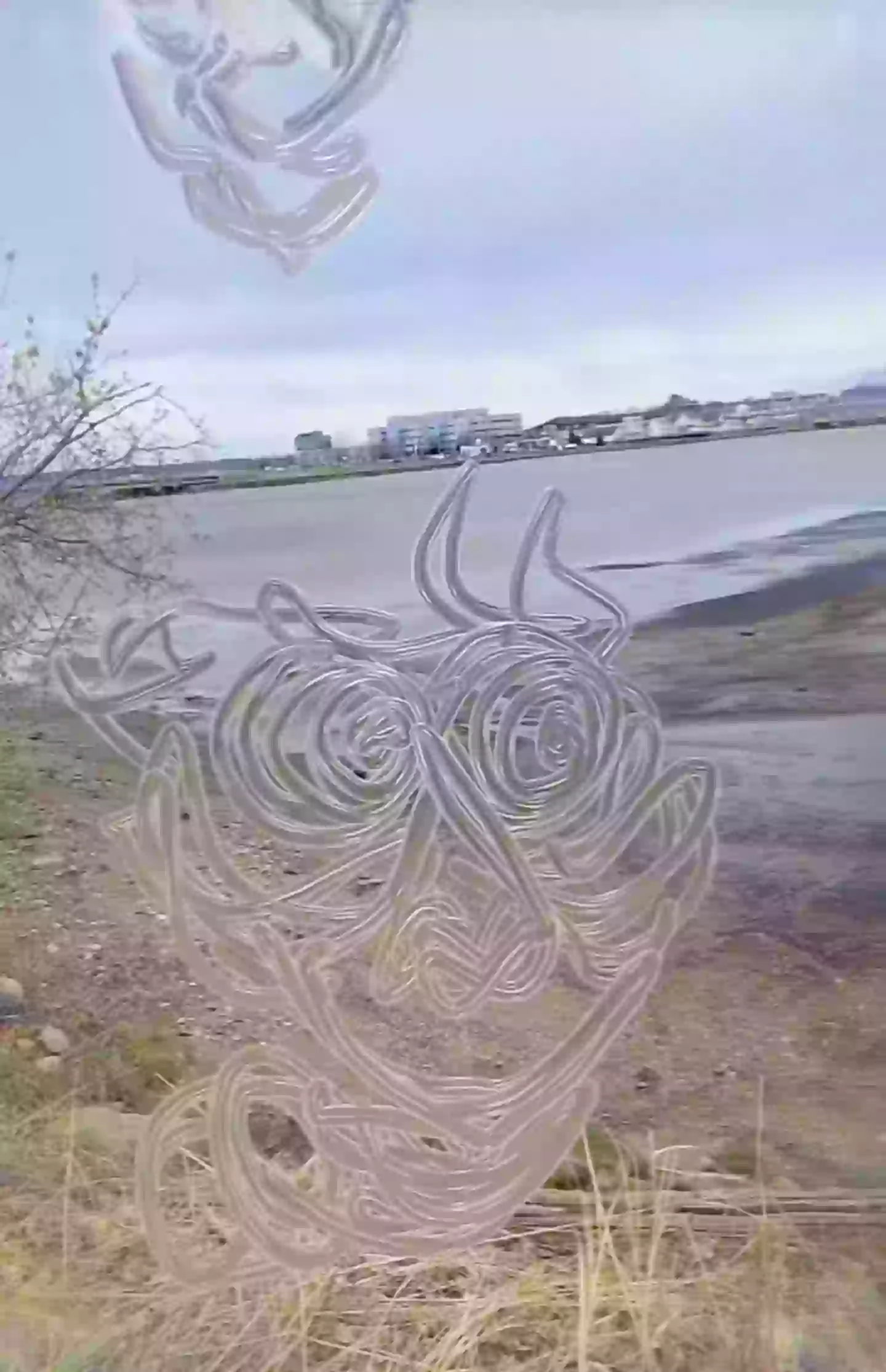 The 'schizophrenia simulation' video went viral on social media (TikTok/@xoradmagical)