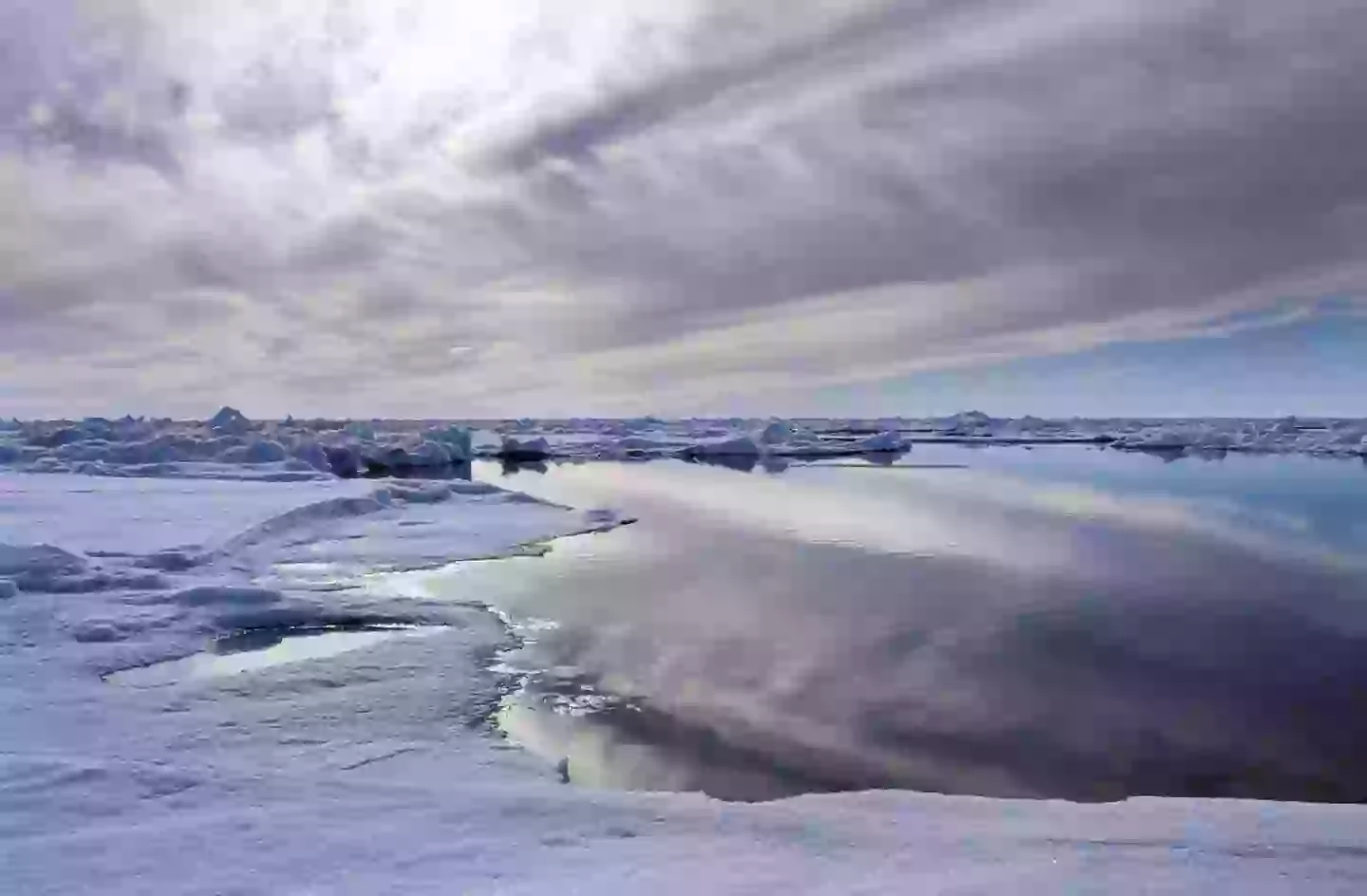 Blomstrandbreen is located in the Arctic Ocean (Getty Stock Photo)