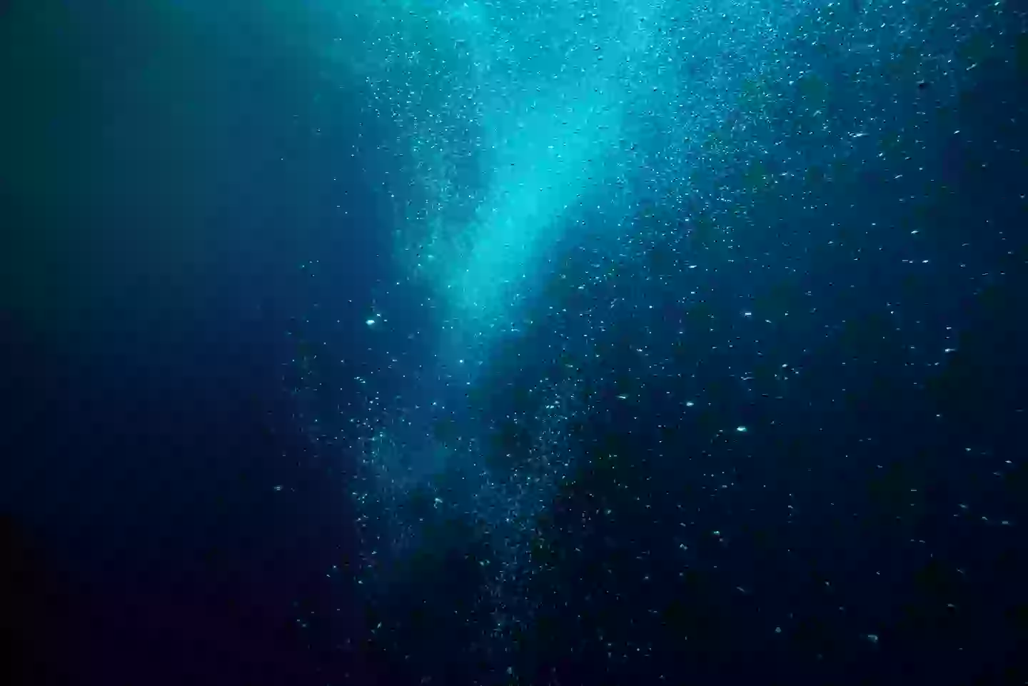 The footage has left viewers 'terrified' of the deep sea (Getty Stock Image)