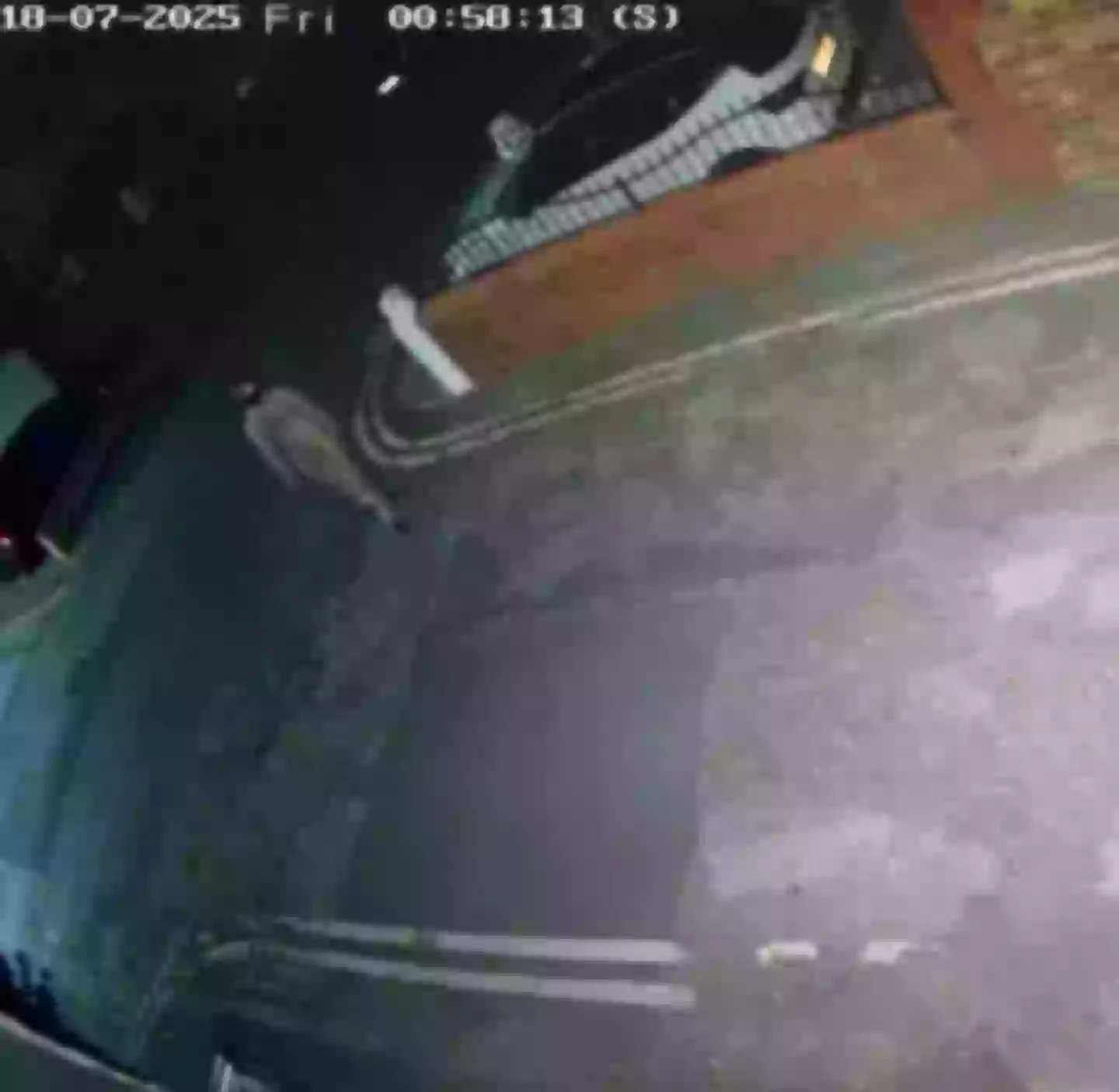 They were spotted in CCTV. (Facebook)