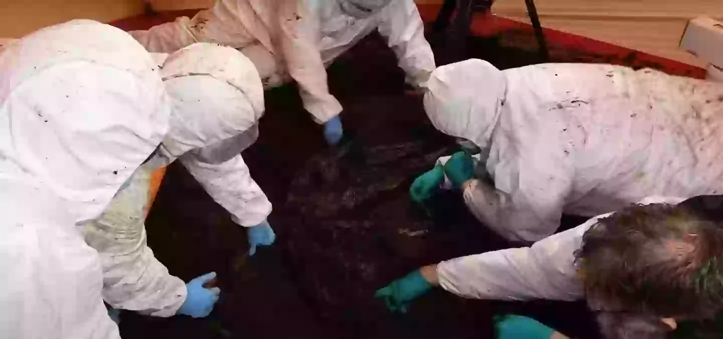 Archaeologists find 2,000-year-old body of a woman without a head and think they know disturbing reason why it’s missing 1 Examining the body after being found (YouTube / PSNI)
