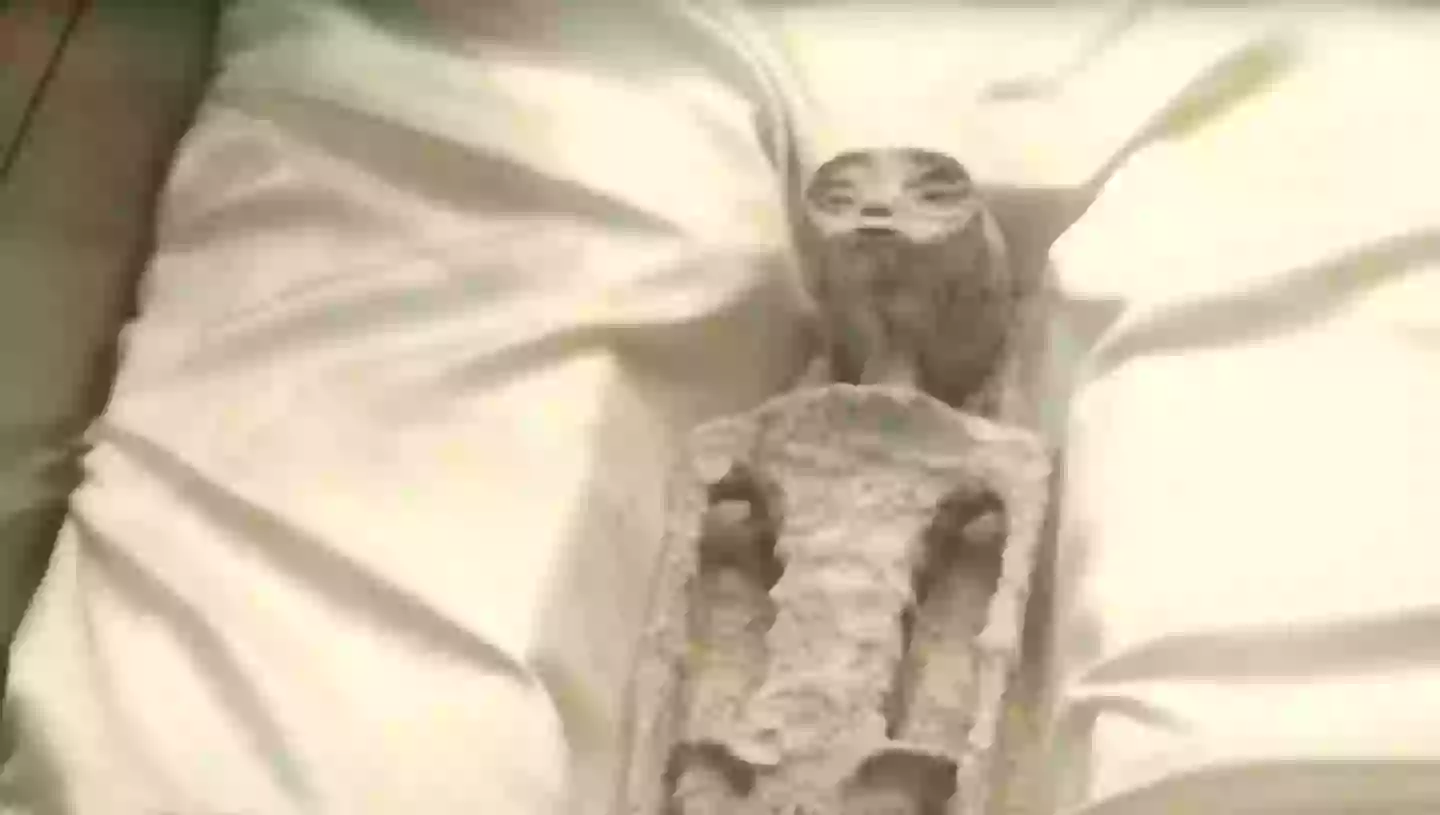 Alien Ct Scan Mexican Government released 'X-ray scans' of two 'alien bodies' found ...