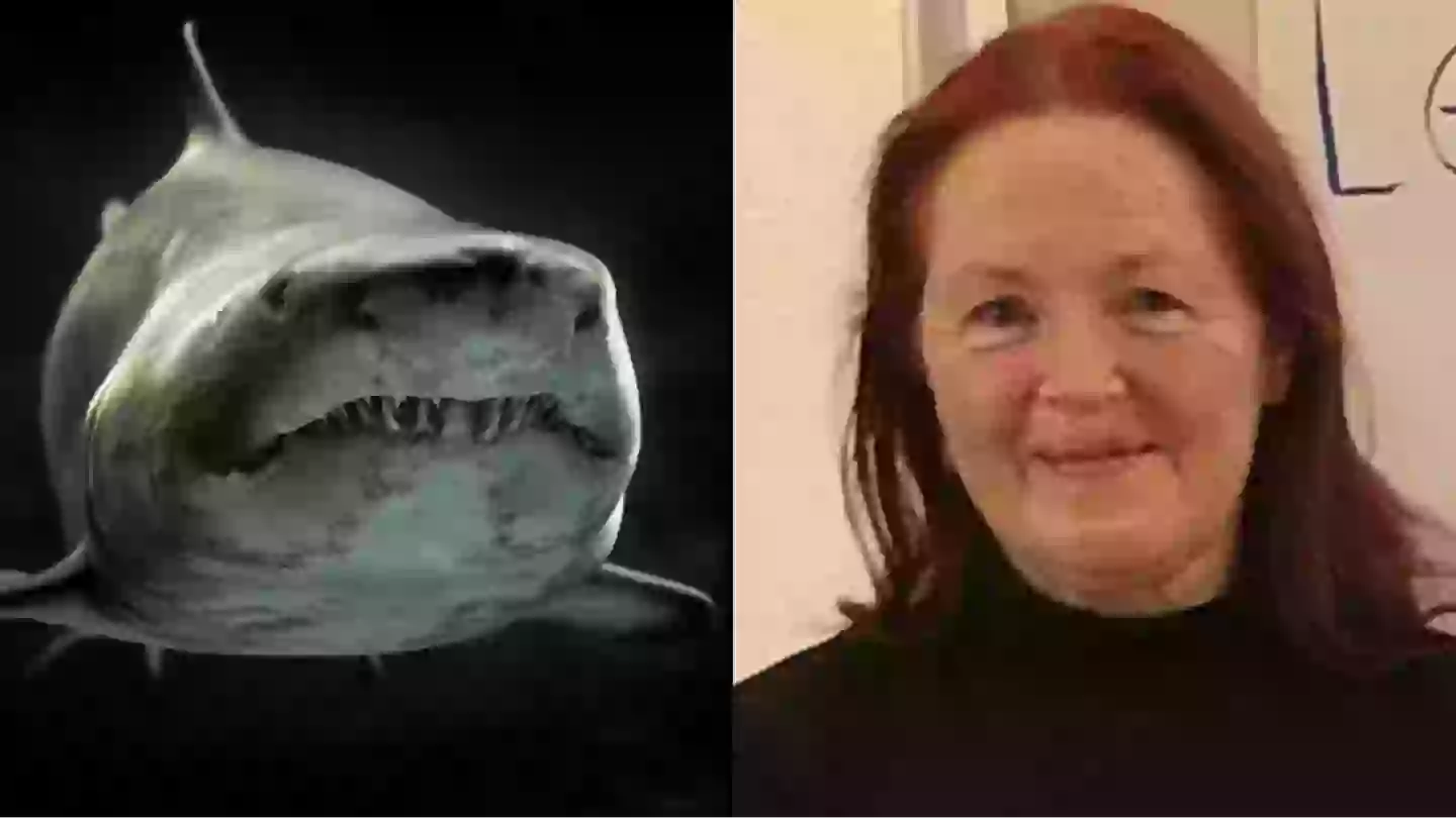 PxHere/Facebook/The Green Party Kramsach