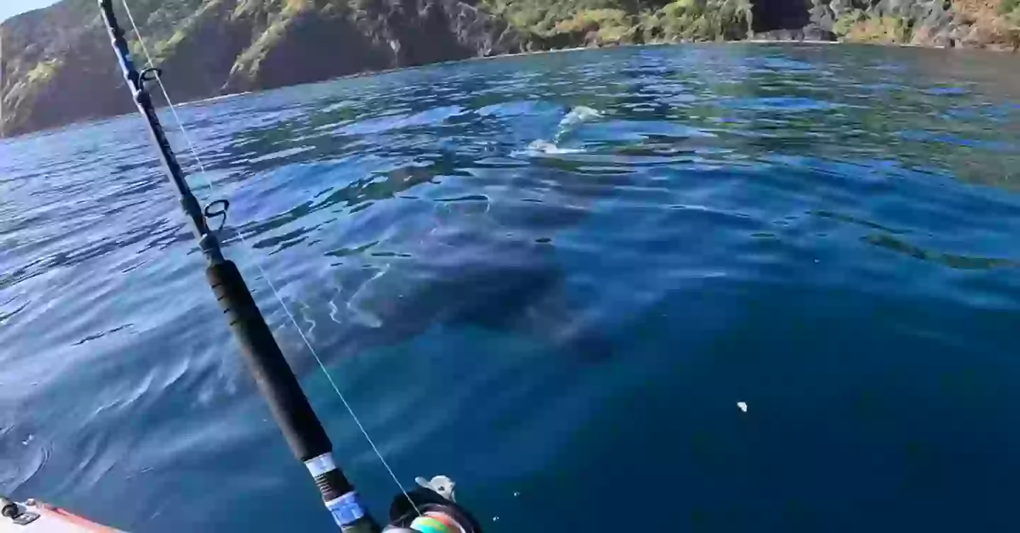 The shark came right up by him (YouTube/@NomadicKayakFishing)