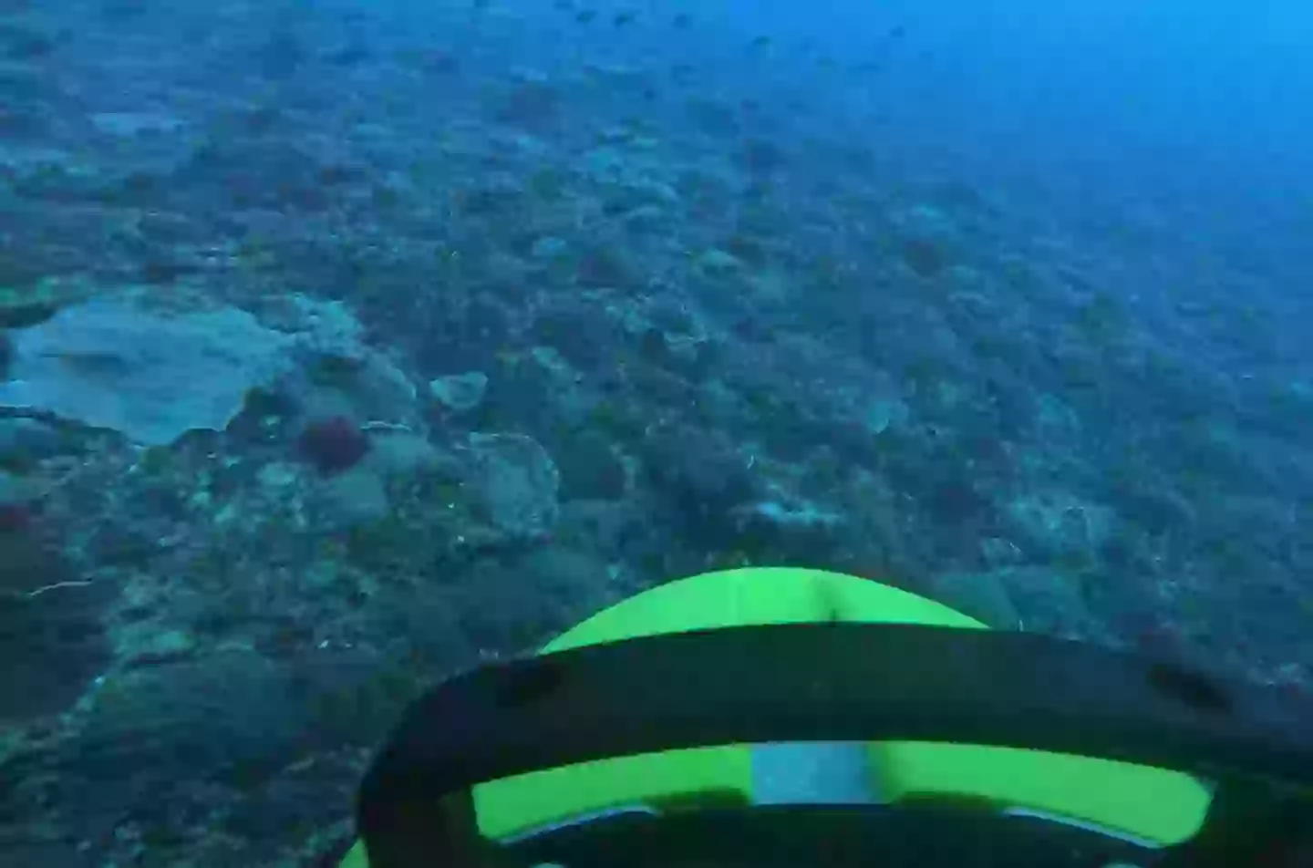 This is the best look researchers have got at this part of the ocean (University of Sydney)