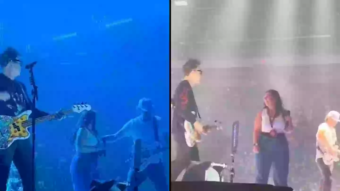 People cringe as Blink-182 invites fan on stage only for huge mistake to happen