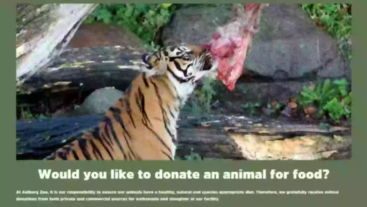 Aalborg Zoo accepts 'healthy' livestock so it can feed its captive predators (Aalborg Zoo)