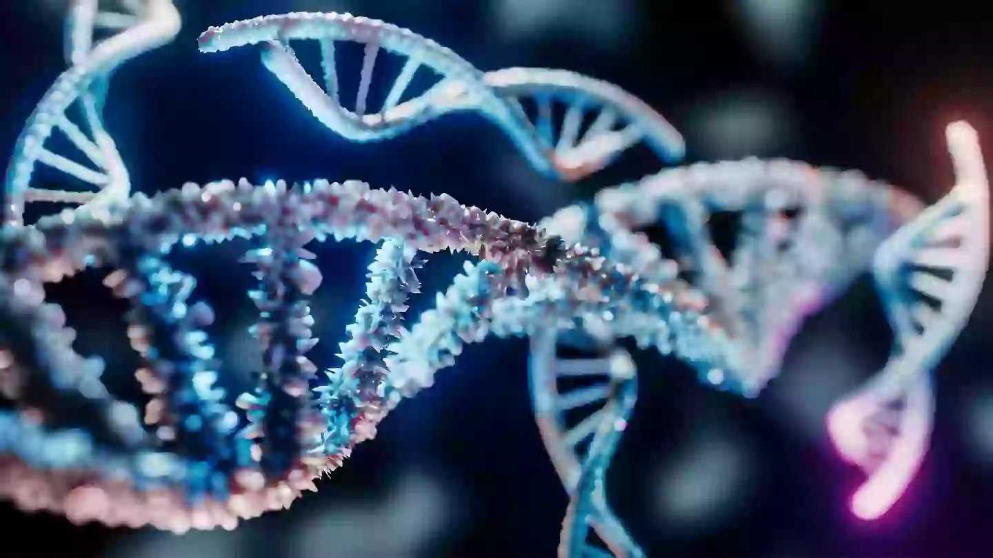 Researchers made the discovery while analysing mouse genes (Getty Stock Image)