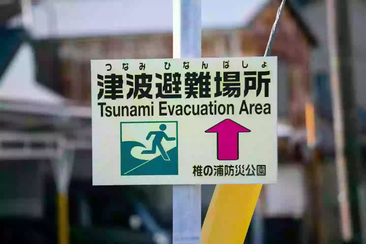Tsunamis pose a significant threat to life (Getty Stock Image)
