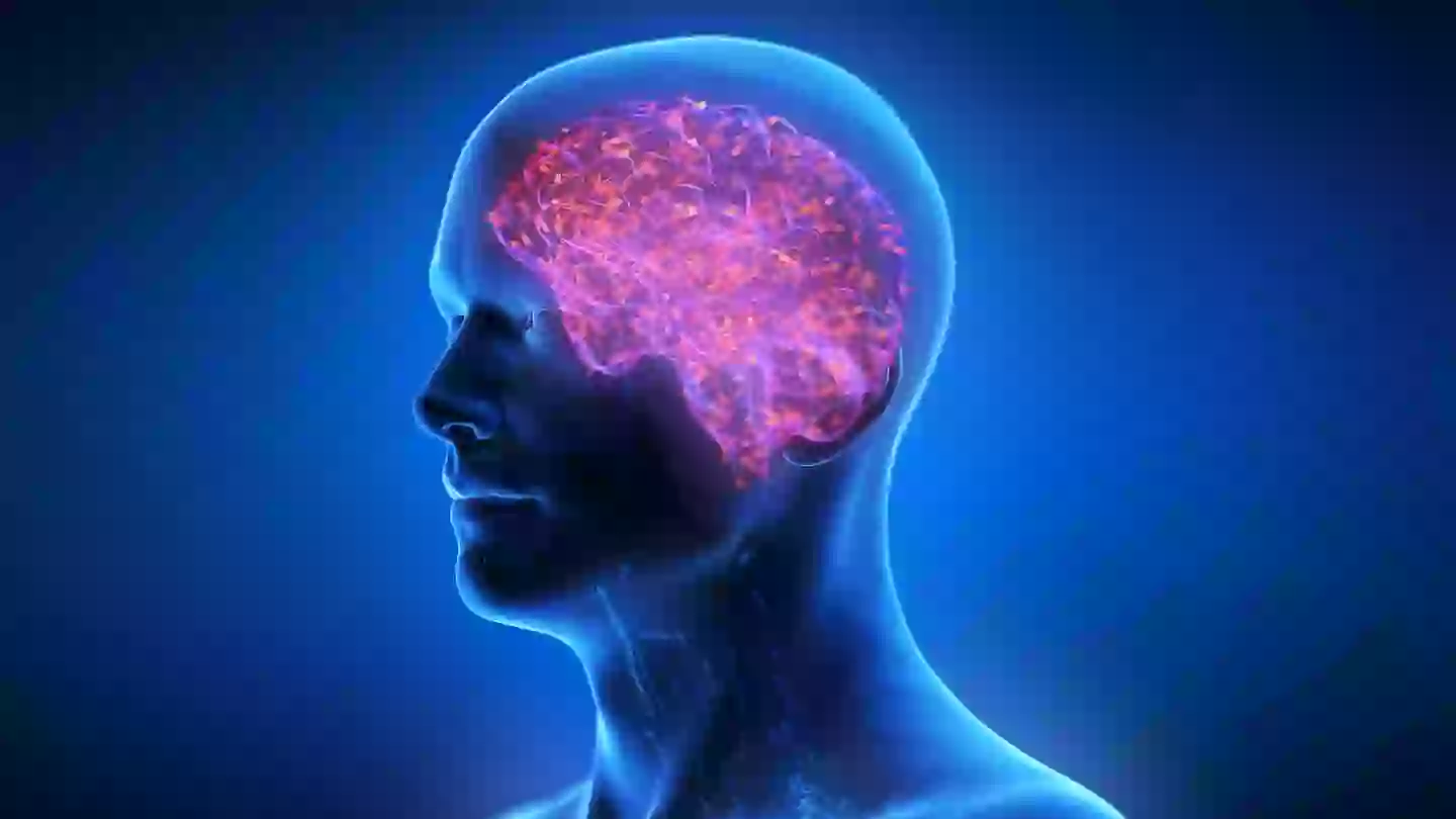 The neurons in the brain and central nervous system begin to malfunction (Getty Stock Photo)