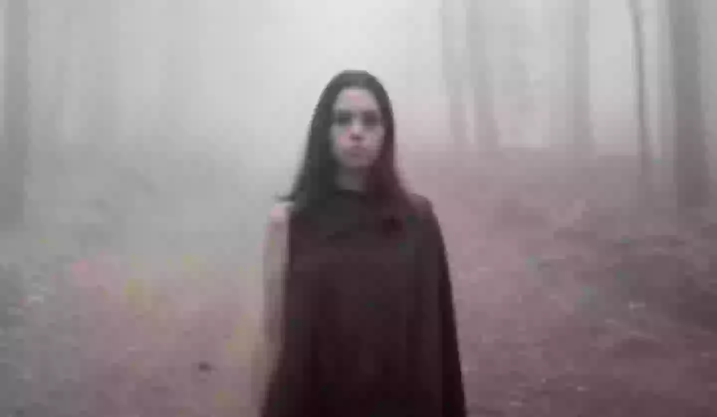 Believe or not, Female vampire is about a vampire... who enjoys sex (Brux International Pictures)