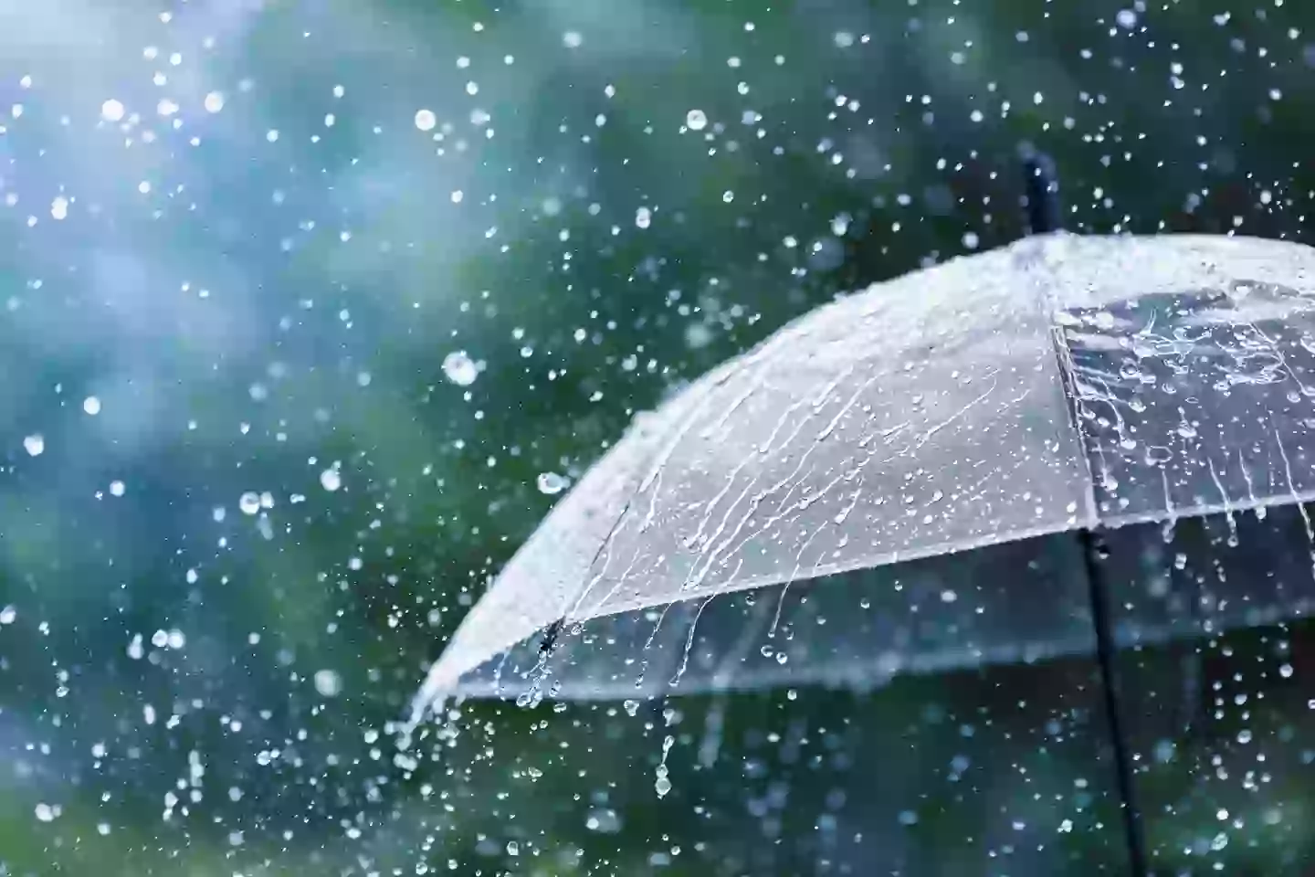 Can you smelllll when the rain is coming? (Getty Stock Images)