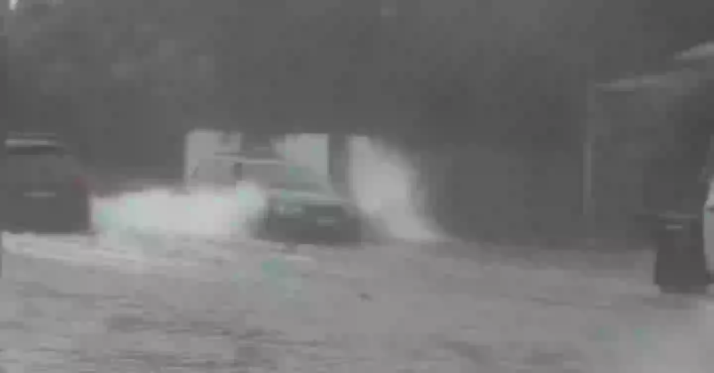 The reporter slammed the motorist's 'stupid behaviour' amid the stormy weather (7 News)