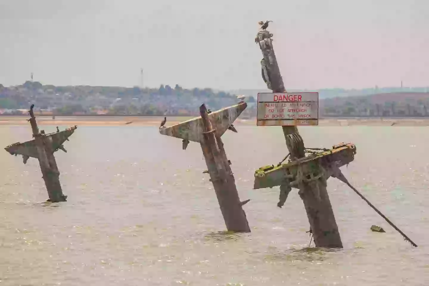 The 'doomsday wreck' located at the bottom of the River Thames Estuary is carrying 1,400 tonnes of explosives (Andrea Pucci)