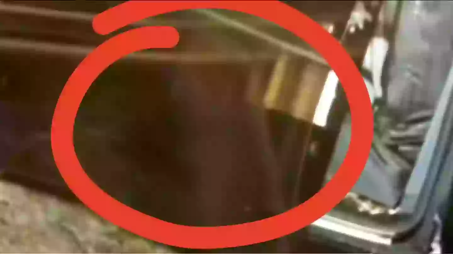 The faint outline of what could be a dog (Saint Paul Police Department/Reddit)
