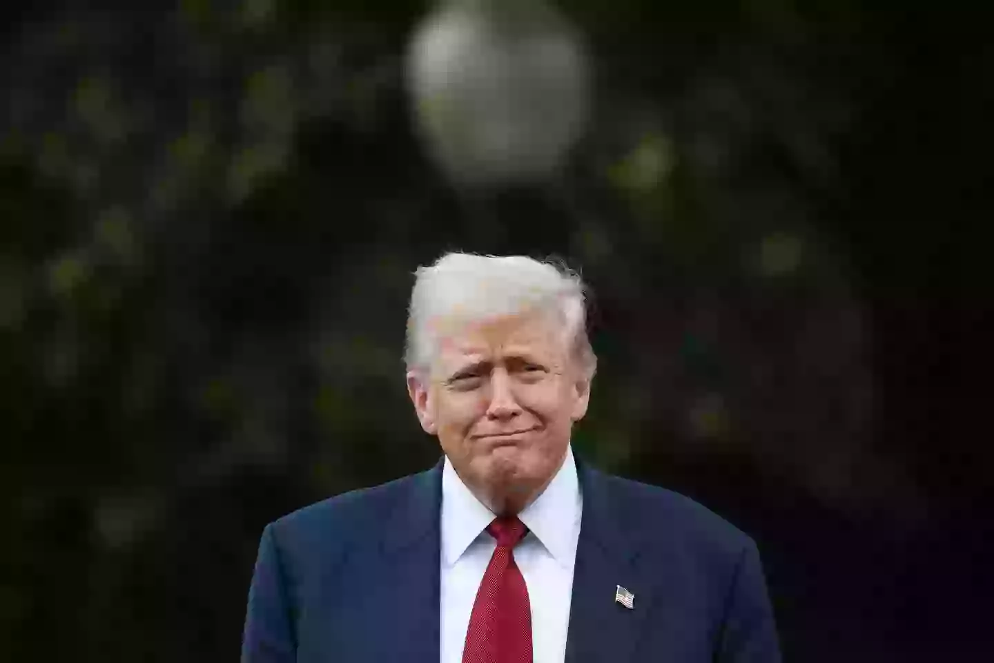 Trump is considering reclassifying marijuana in the US (Win McNamee/Getty Images)