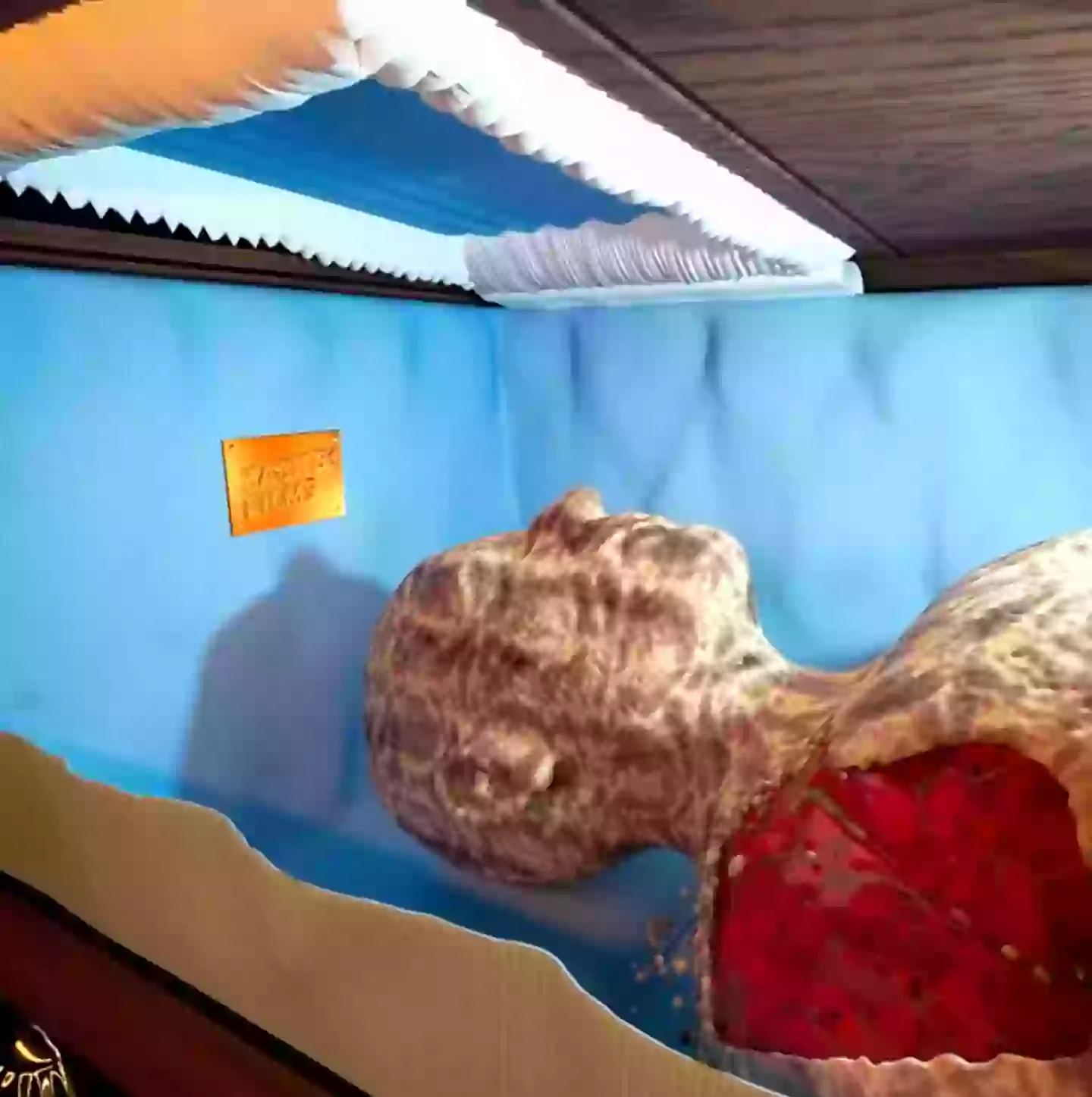 Your skin starts to fall off (YouTube/@‌zackdfilms)