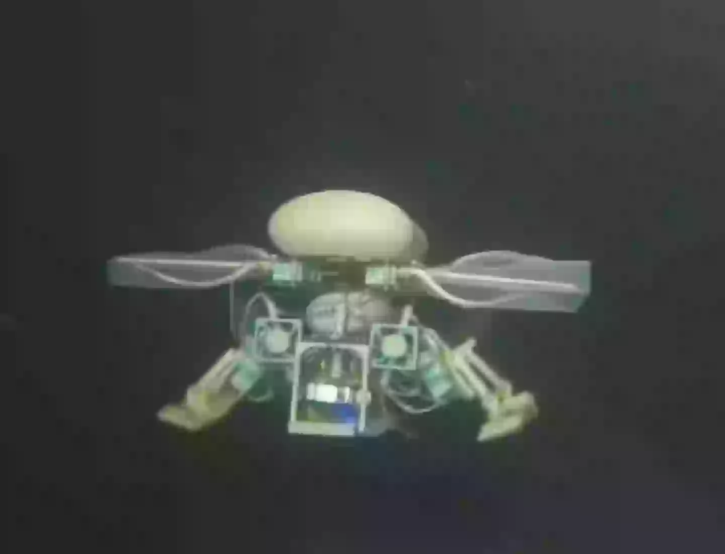 The tiny submarine is just 50cm wide and weighs just 16g (Chinese Embassy Manila)