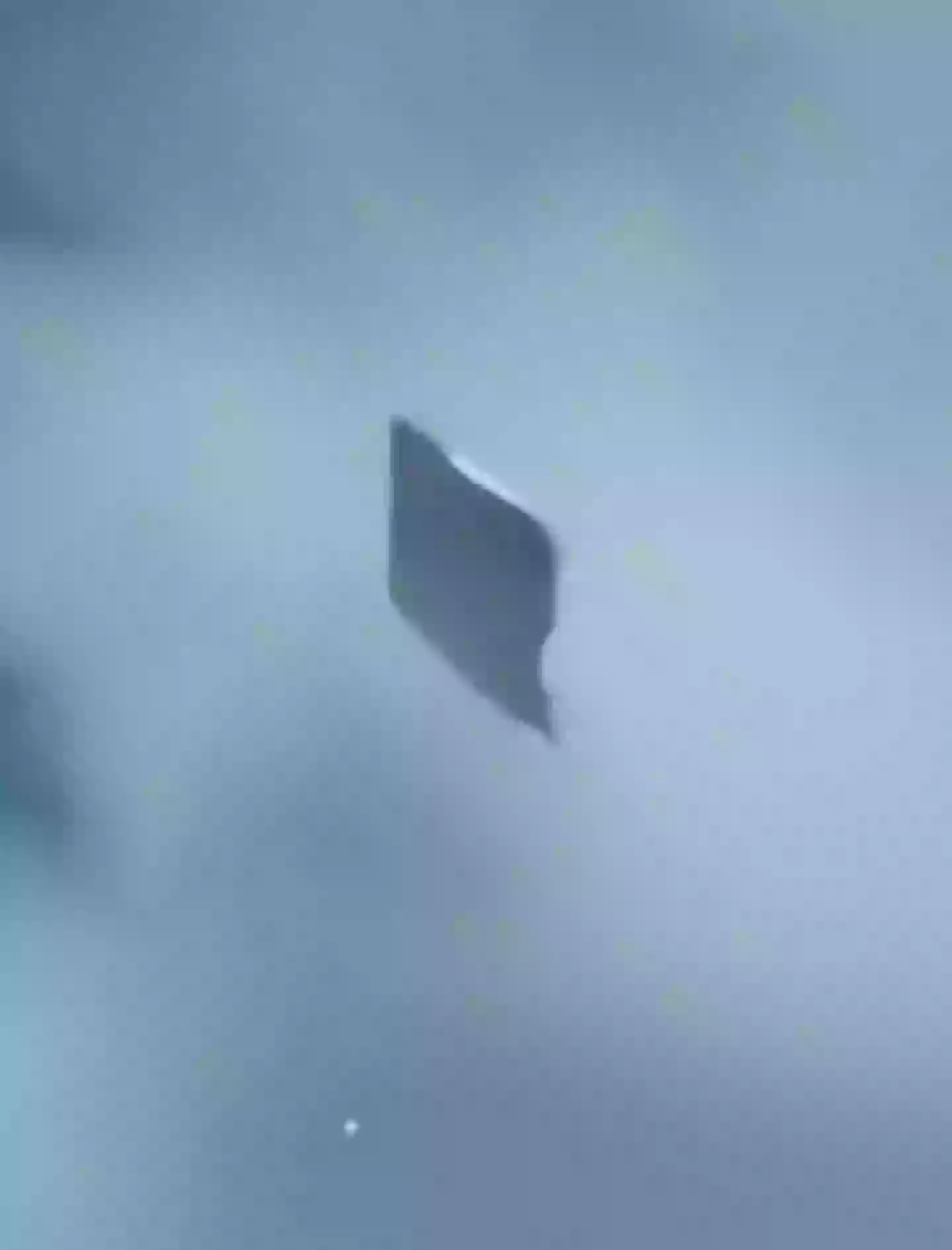 Joe Rogan addressed 'best ever UFO footage' caught on camera that had authenticity '100%' confirmed 1 Rogan reckoned that the UFO looked like it was 'from another f***ing world' (X/Jorge Arteaga)