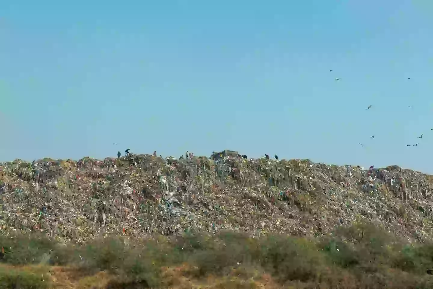 People known as 'ragpickers' looting the Ghazipur landfil for anything of value (Getty Stock Images)