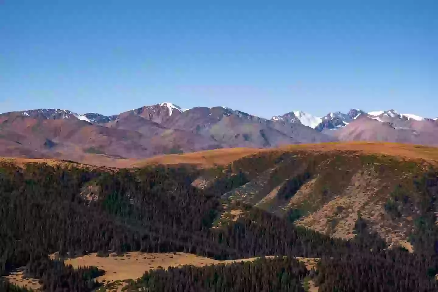 The structure is part of something much bigger (Getty Stock Image)