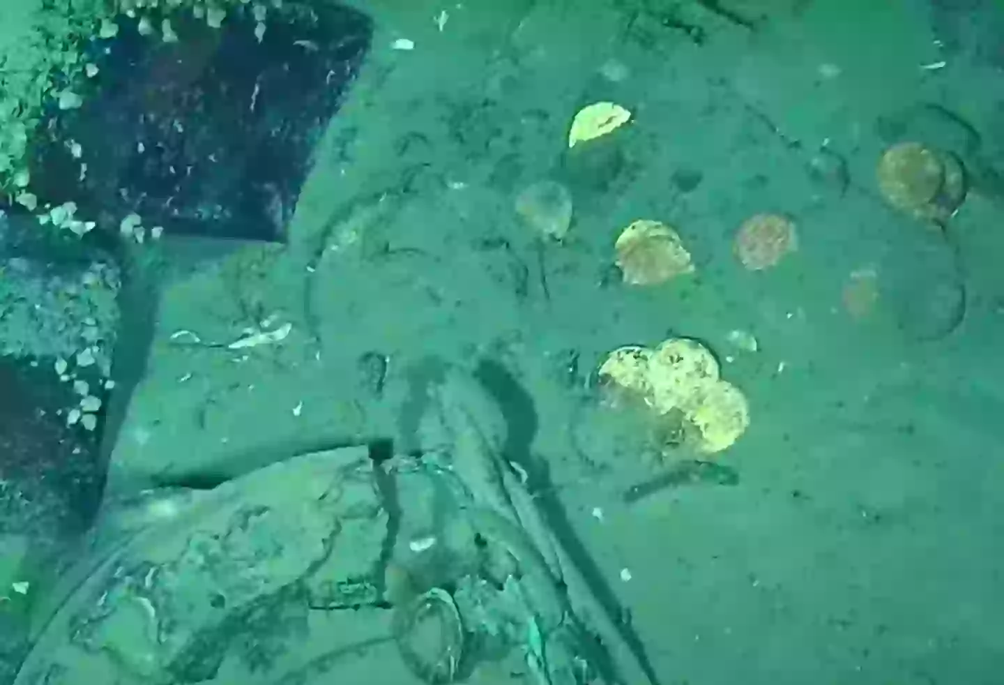 Researchers think the patterns on the coins confirm it's the 'holy grail of shipwrecks' (Youtube/DimarColombia)