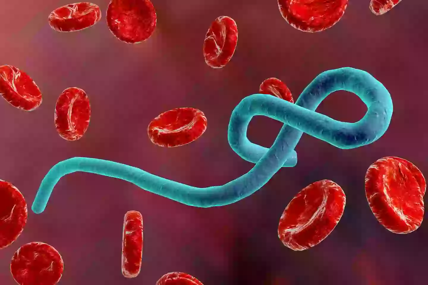 The cause of the virus is unknown, but it causes similar symptoms to Ebola or Marburg (Getty Stock Images)